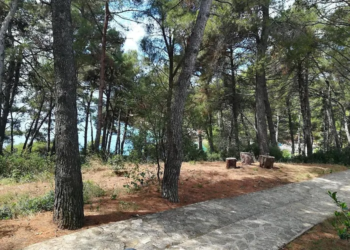 Διαμέρισμα Katerina